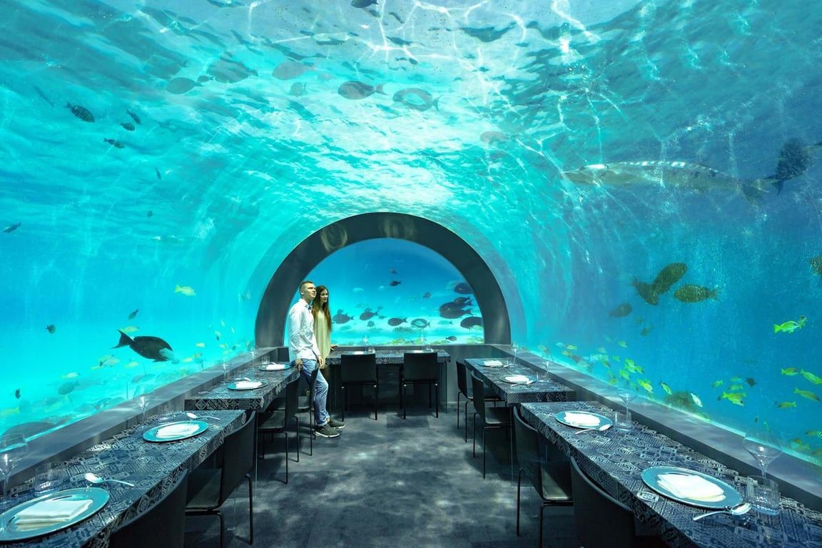 you and me by cocoon underwater restaurant