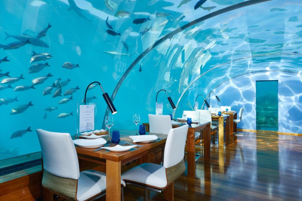 conrad maldives