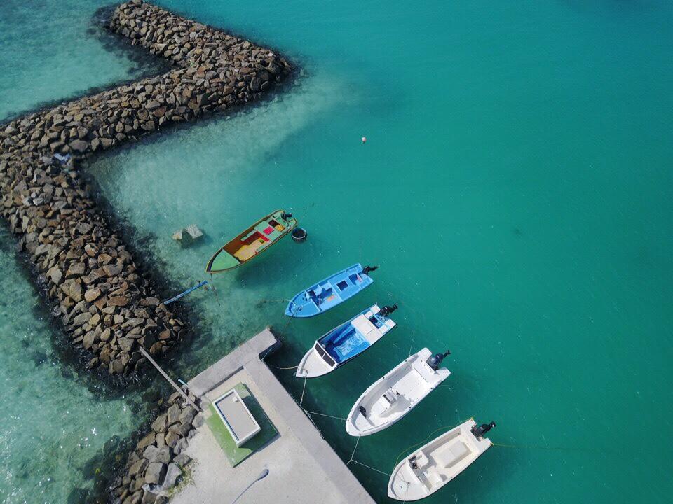 harbour