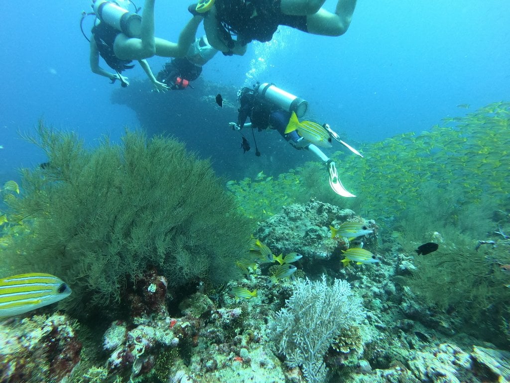 diving-maldives