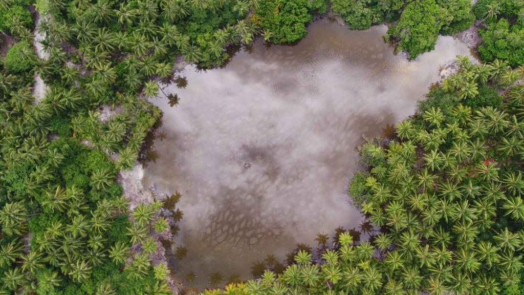 goidhoo lake