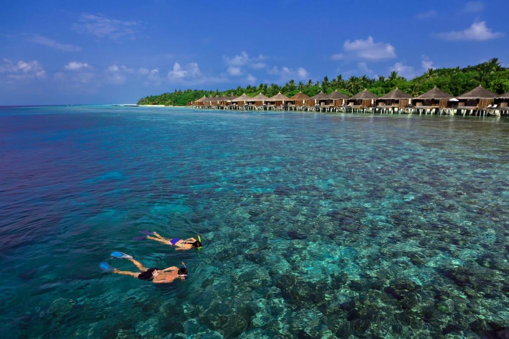 kuramathi maldives