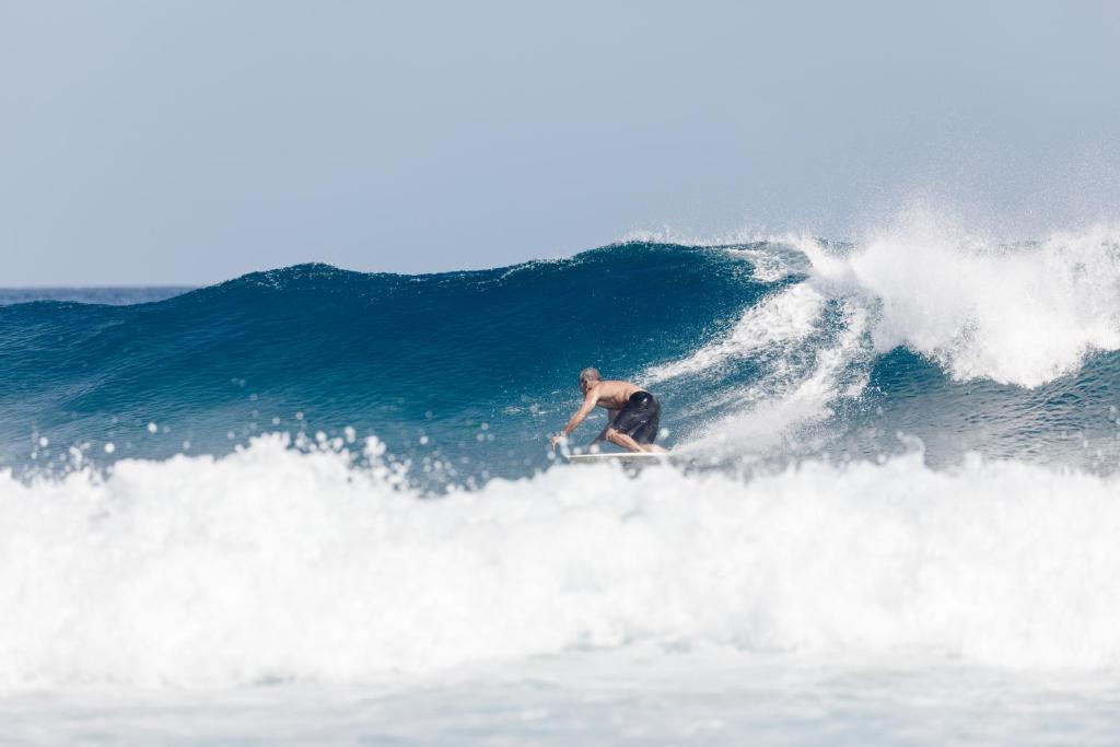 inside-mikado-surf-spot