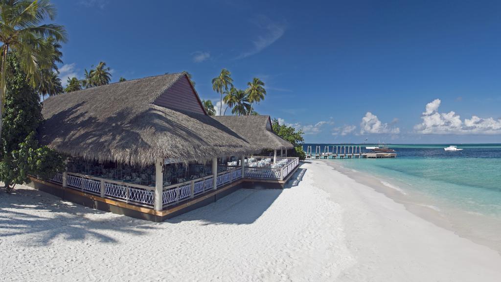 MALAHINI KUDA BANDOS 