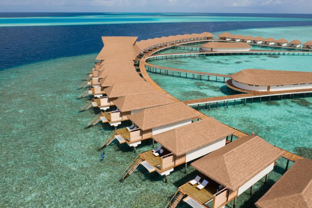 Cinnamon Vellifushi