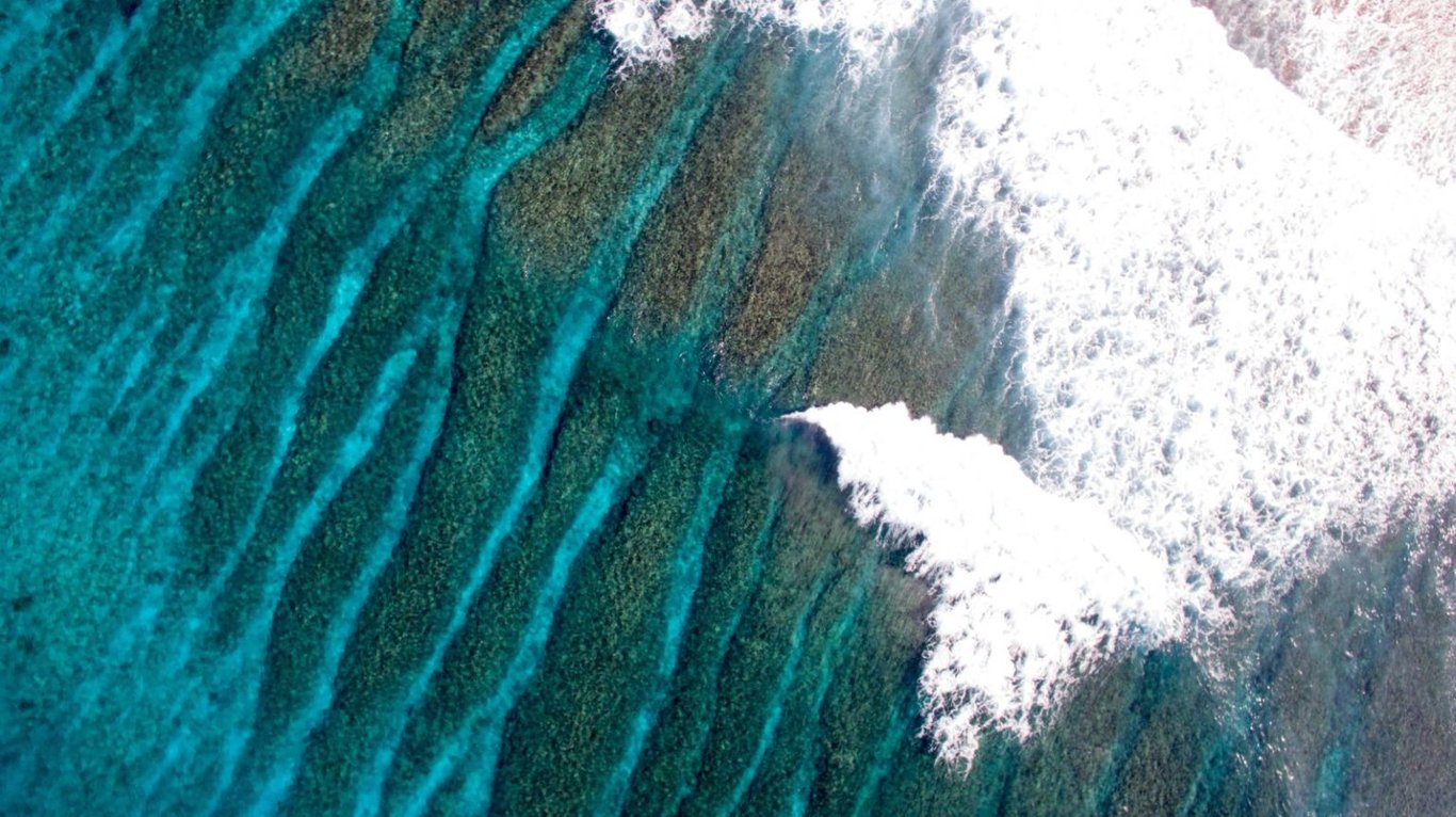 tiger-stripes-surf-spot