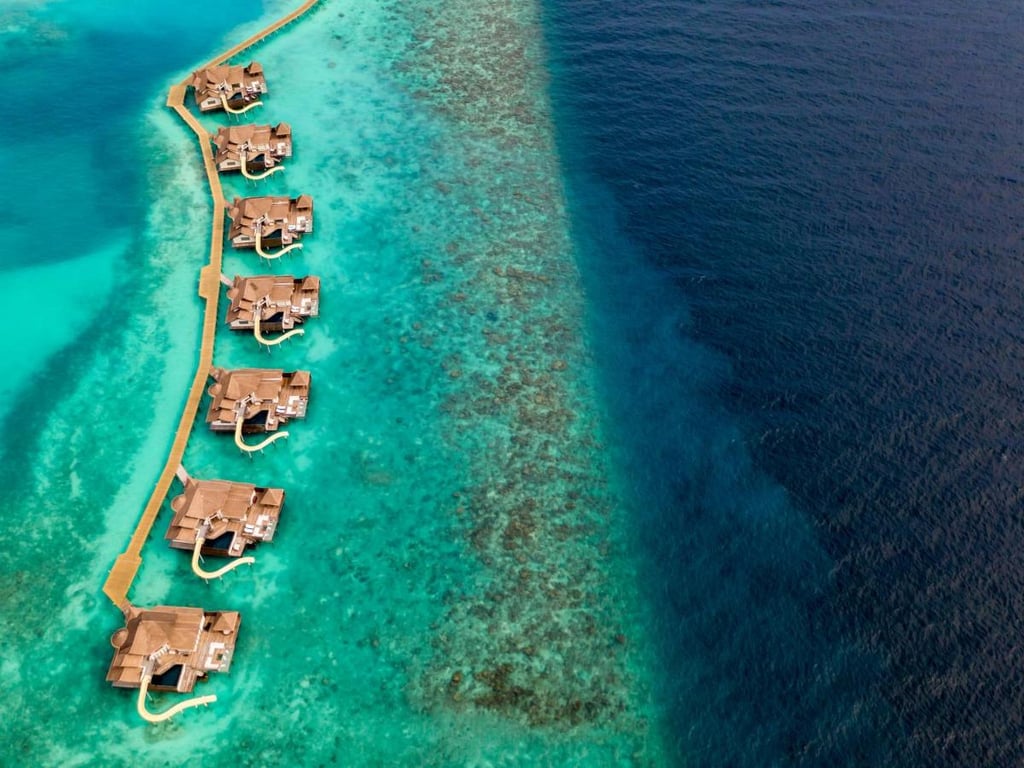 ozen reserve bollifushi