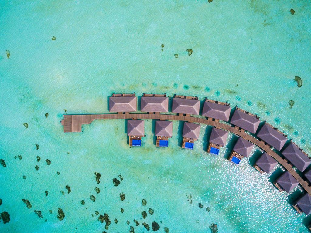 cocoon maldives