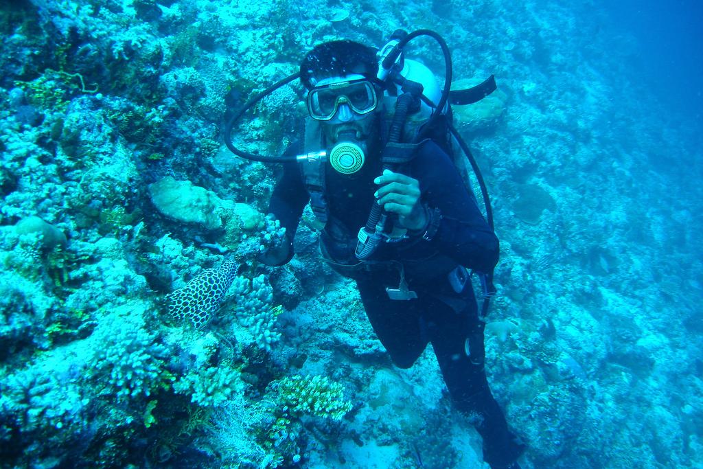 island diving