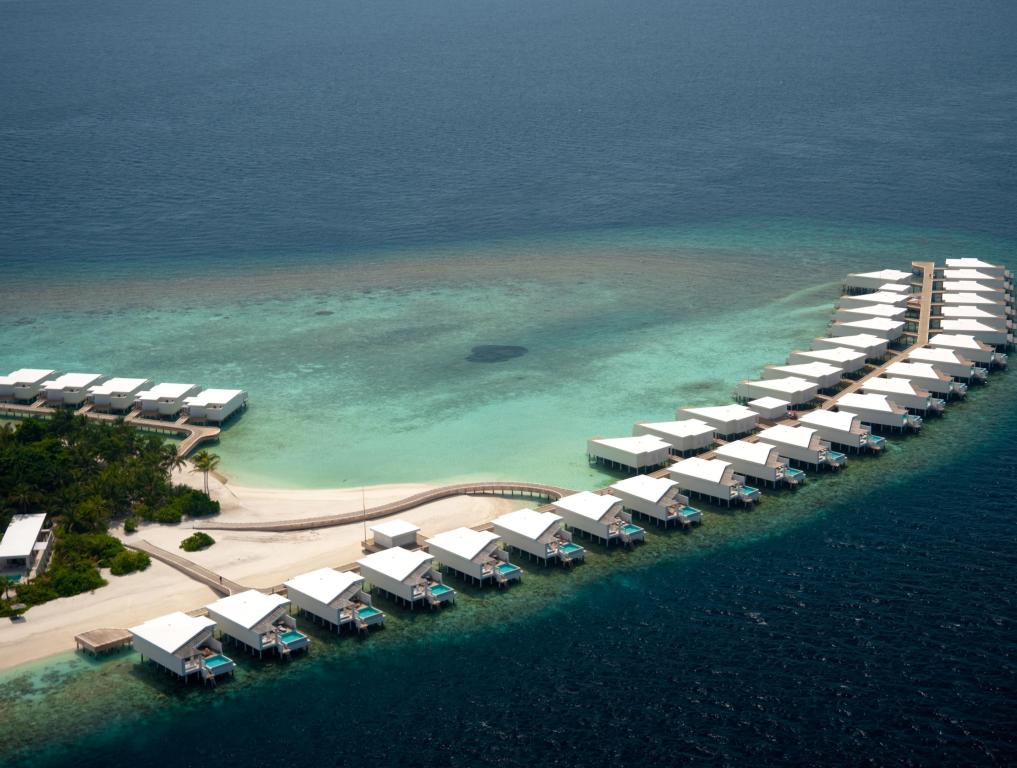 amilla-fushi