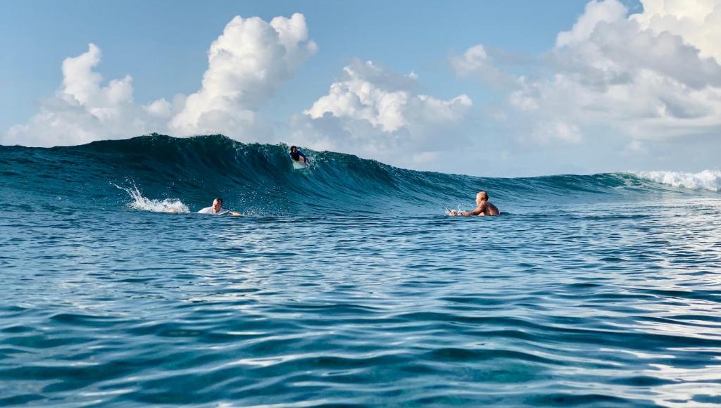 ninja-surf-spot