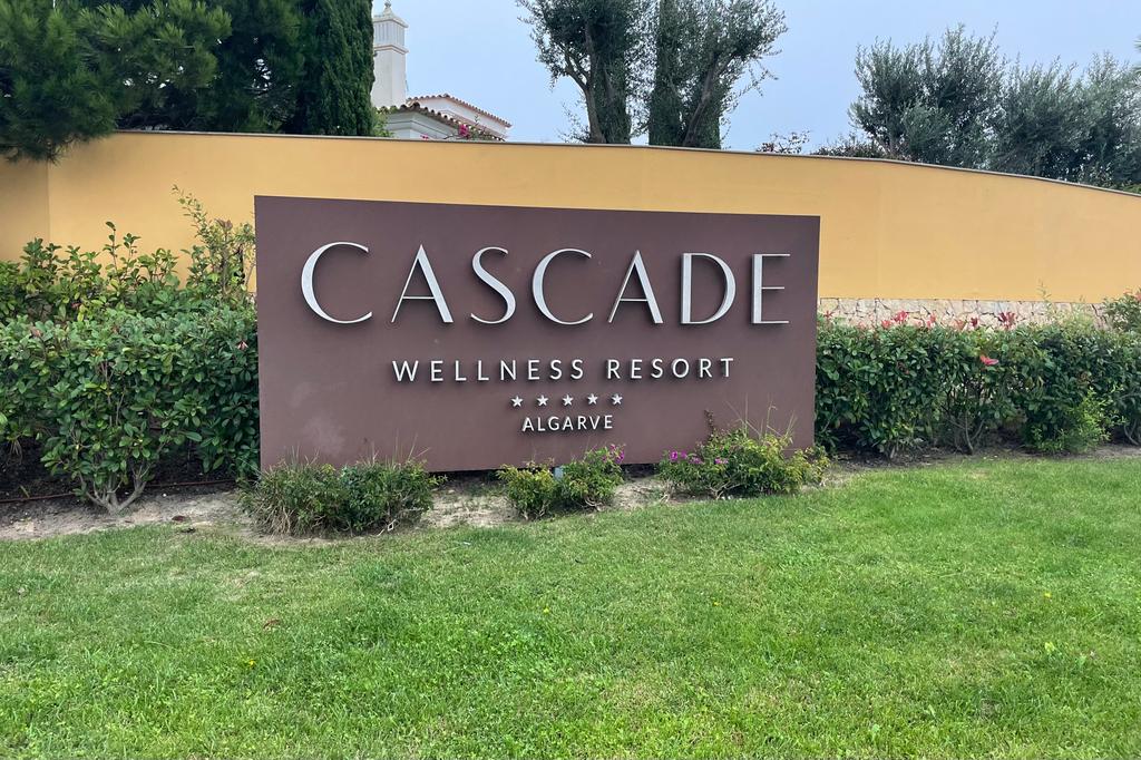 WhatsApp Image 2023-01-22 at 13.04.12