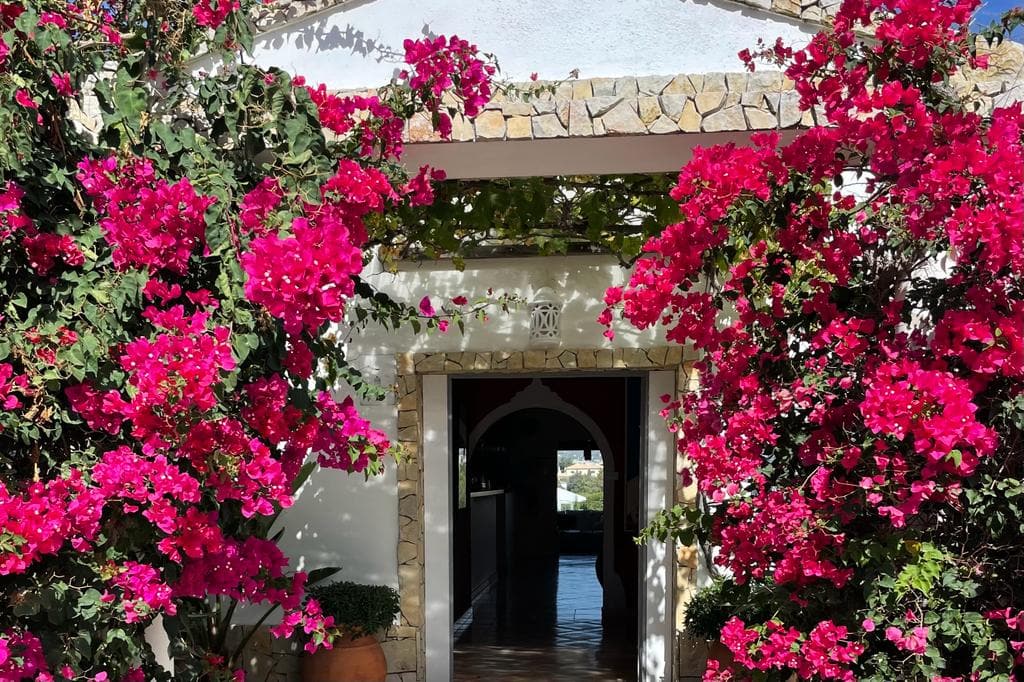 WhatsApp Image 2023-01-22 at 22.48.00