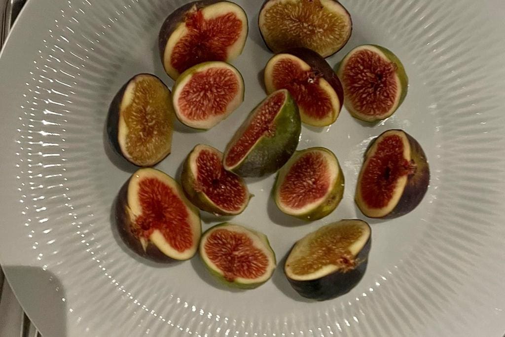 WhatsApp Image 2023-01-23 at 21.31.48