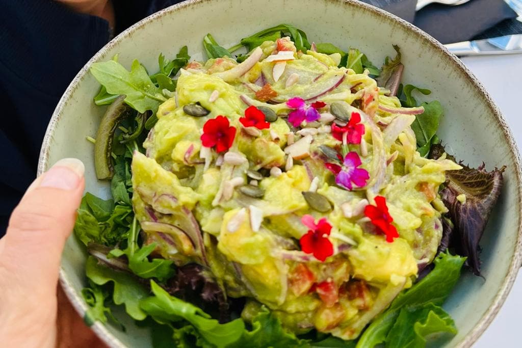 WhatsApp Image 2023-01-24 at 11.30.31