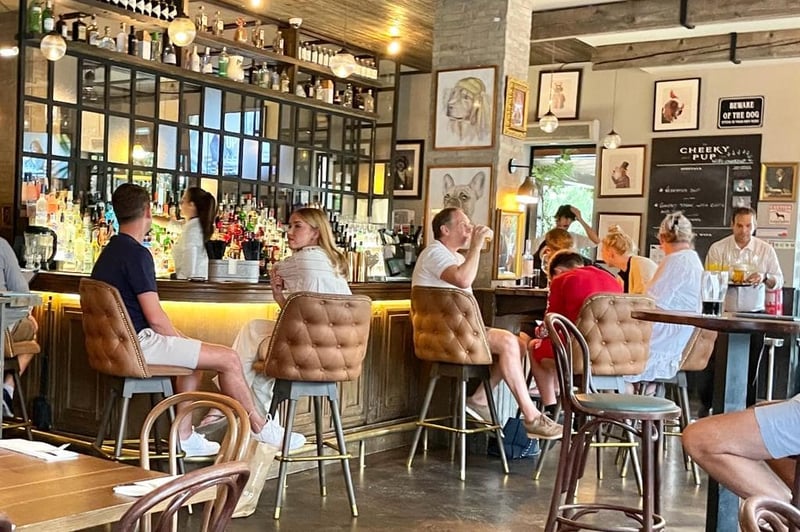 The Cheeky Pup - Bar Quinta do Lago, Almancil