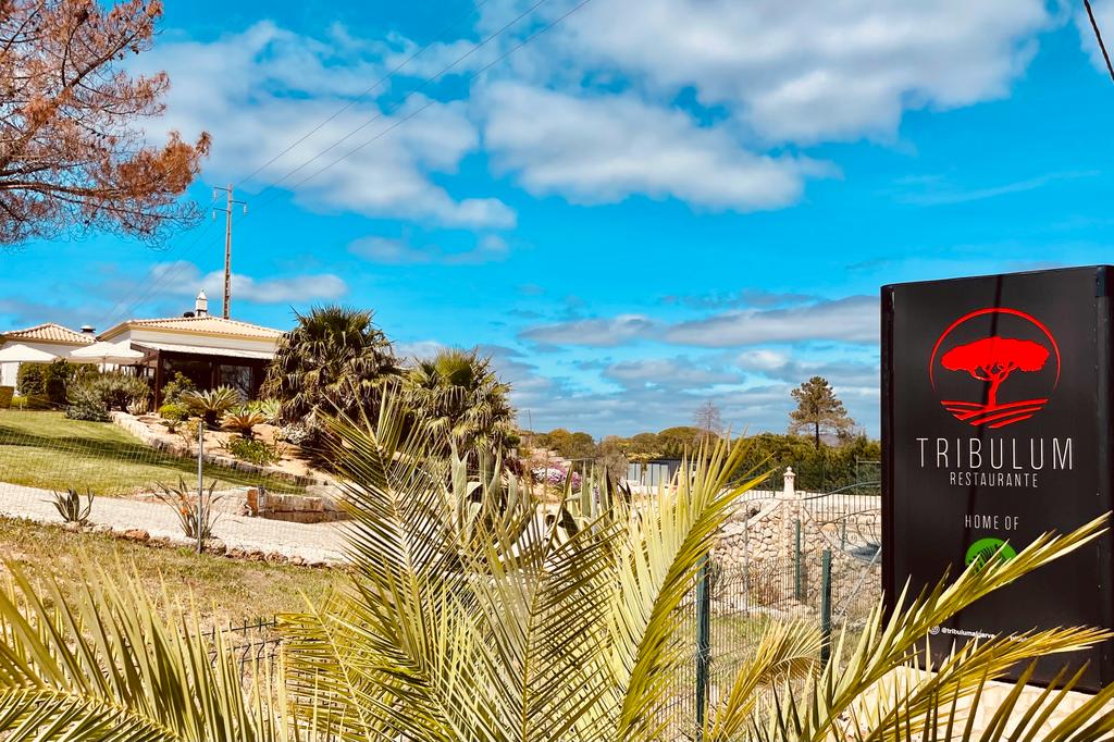 WhatsApp Image 2023-04-01 at 10.55.11