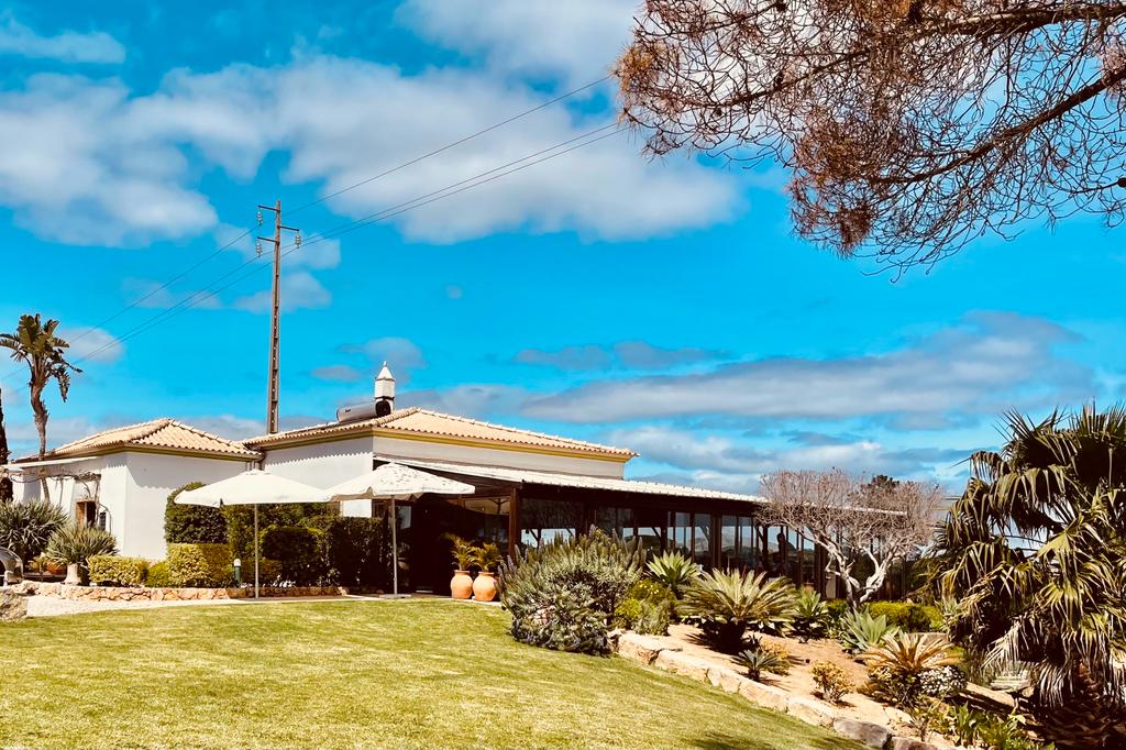 WhatsApp Image 2023-04-01 at 10.56.48