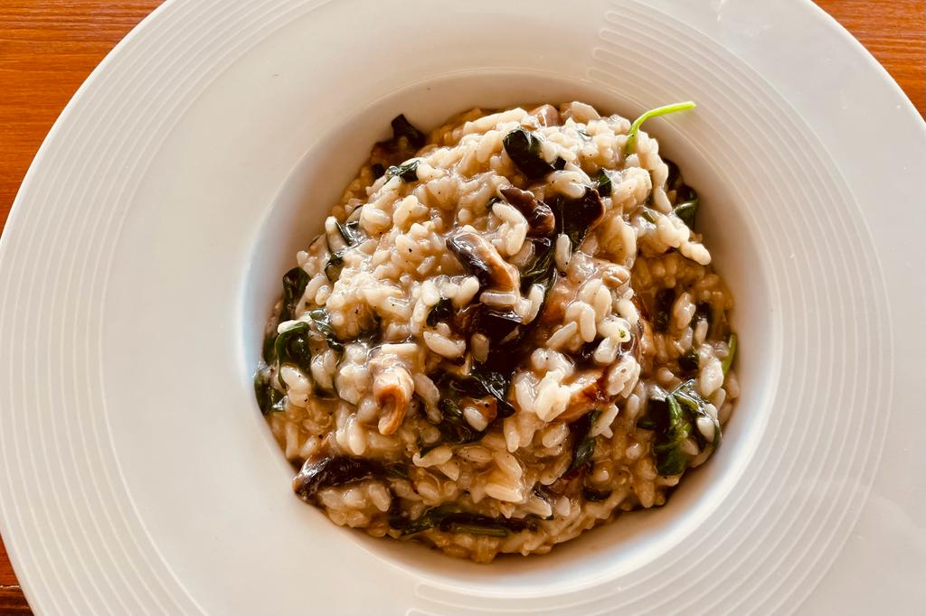 WhatsApp Image 2023-04-01 at 11.01.34