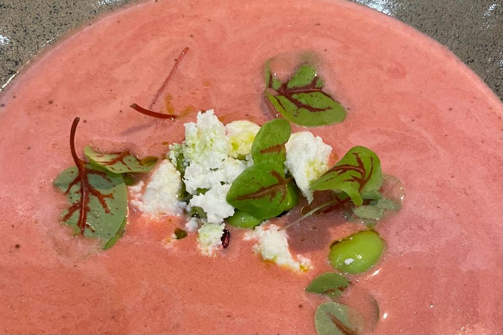 WhatsApp Image 2023-05-09 at 08.51.30