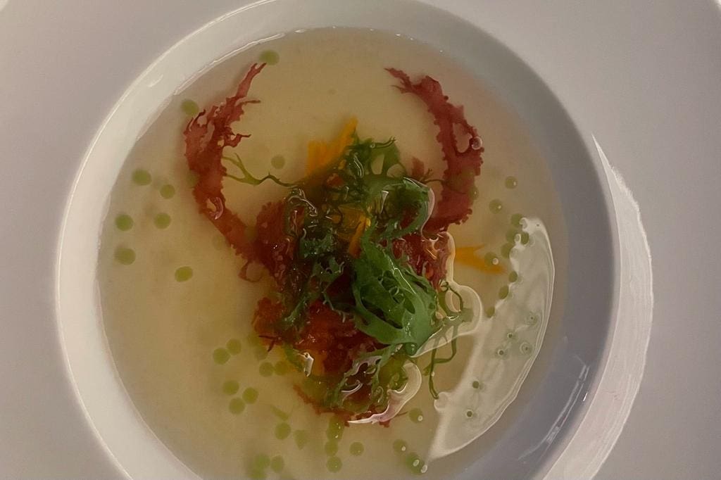 WhatsApp Image 2023-02-17 at 11.19.30