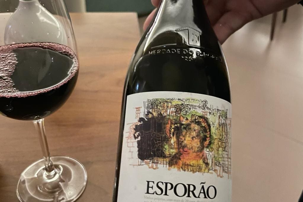 WhatsApp Image 2023-02-17 at 11.20.08