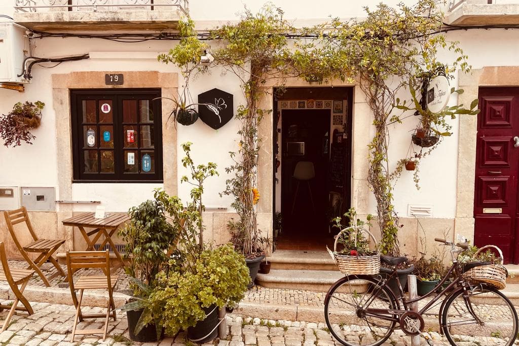 WhatsApp Image 2023-02-17 at 22.53.00