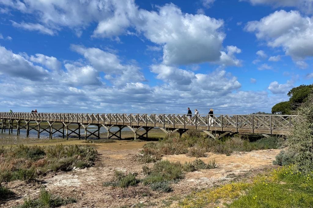 WhatsApp Image 2023-03-04 at 16.39.08