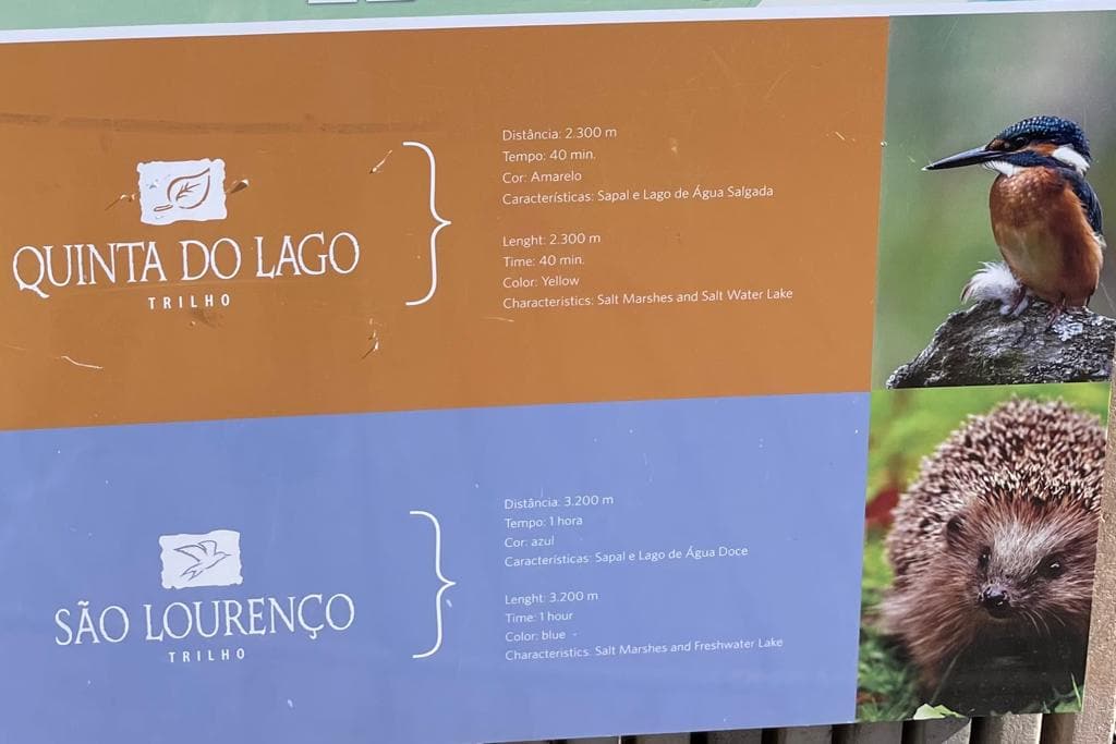 WhatsApp Image 2023-03-04 at 16.43.33