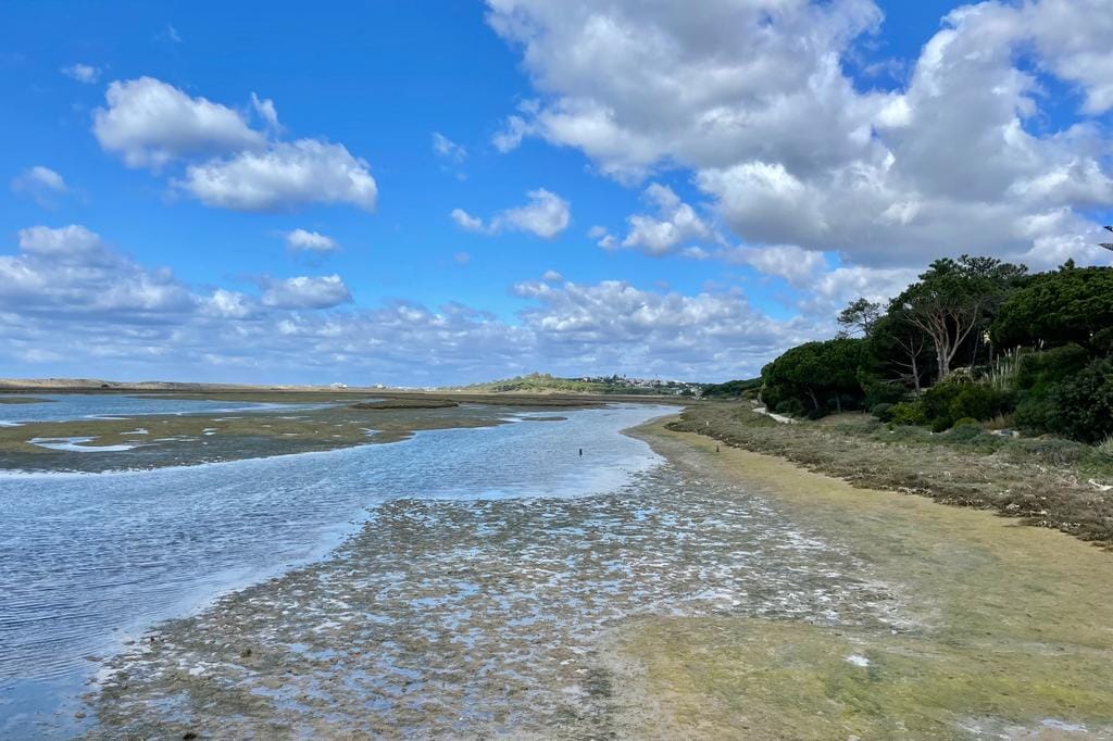 WhatsApp Image 2023-03-04 at 16.44.17