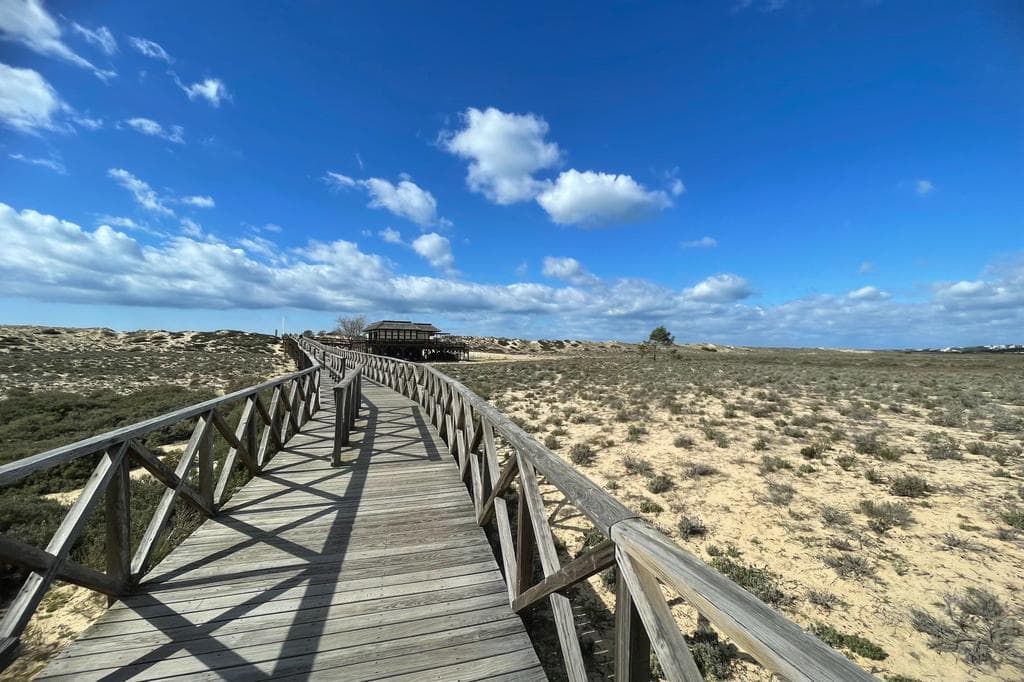 WhatsApp Image 2023-03-04 at 16.44.44