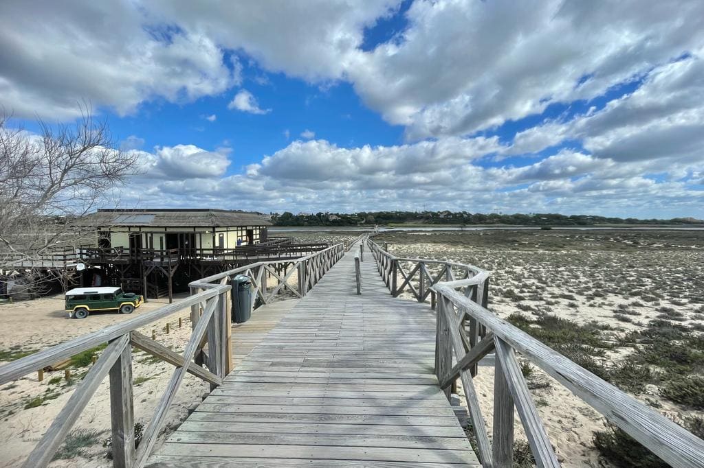 WhatsApp Image 2023-03-04 at 16.45.15