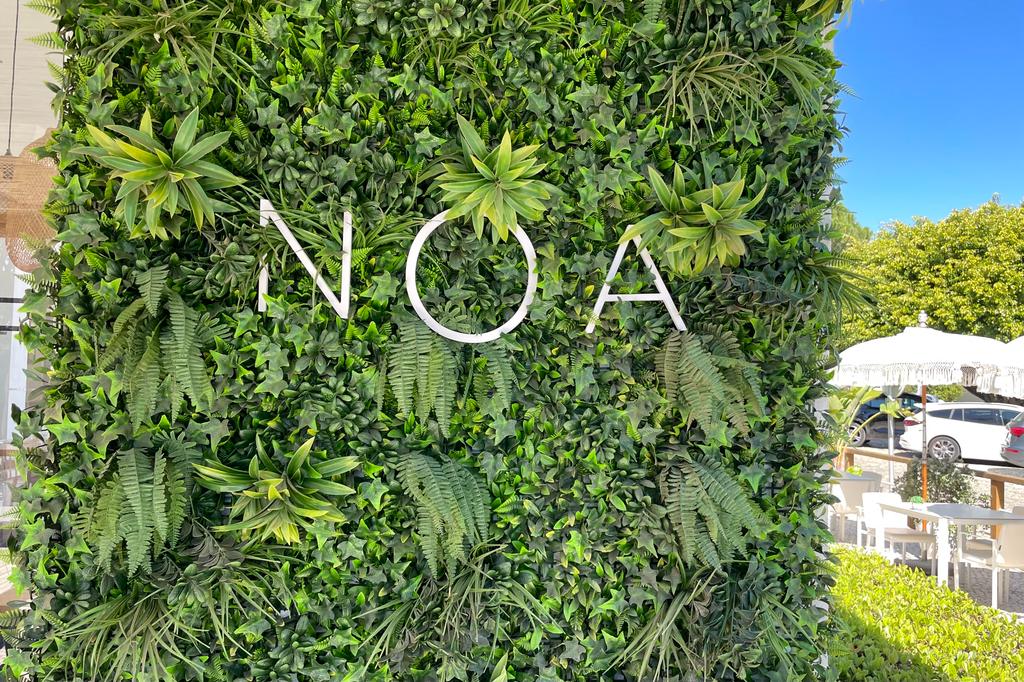 WhatsApp Image 2023-03-22 at 18.13.38