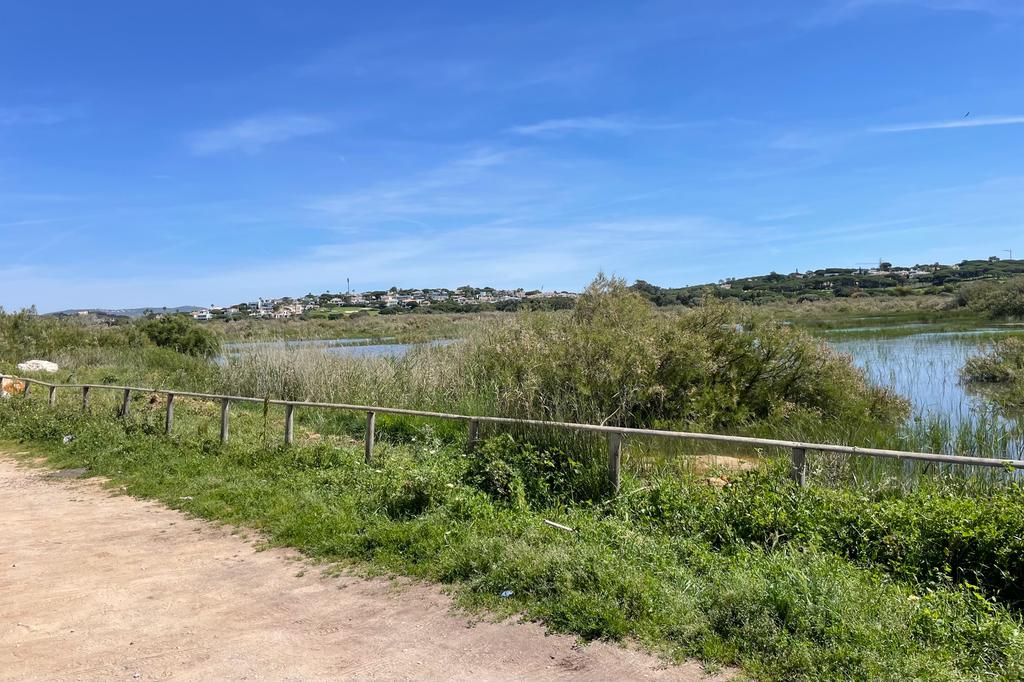 WhatsApp Image 2023-03-28 at 21.15.47