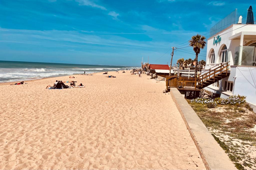 WhatsApp Image 2023-03-29 at 14.56.44