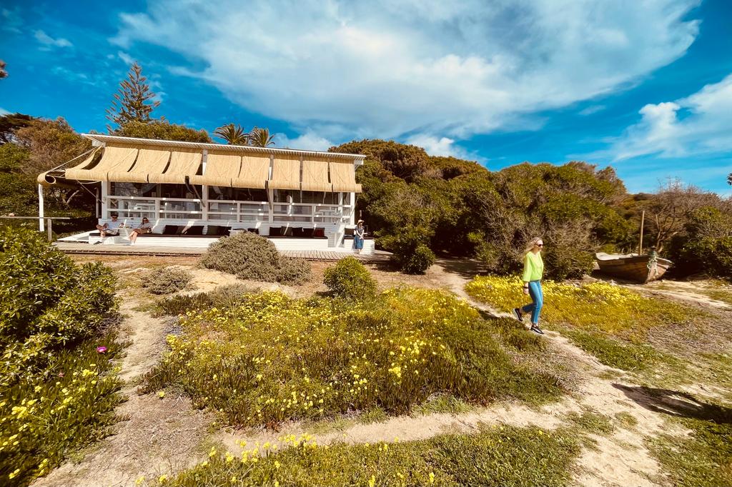 WhatsApp Image 2023-04-03 at 16.05.03