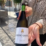 WhatsApp Image 2023-05-18 at 15.55.16