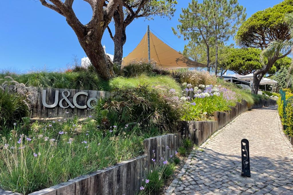 WhatsApp Image 2023-07-03 at 21.14.26