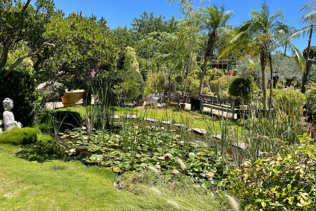 WhatsApp Image 2023-07-14 at 21.26.38