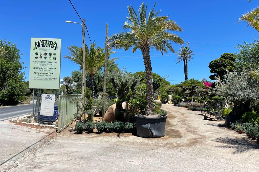 WhatsApp Image 2023-07-14 at 21.36.40