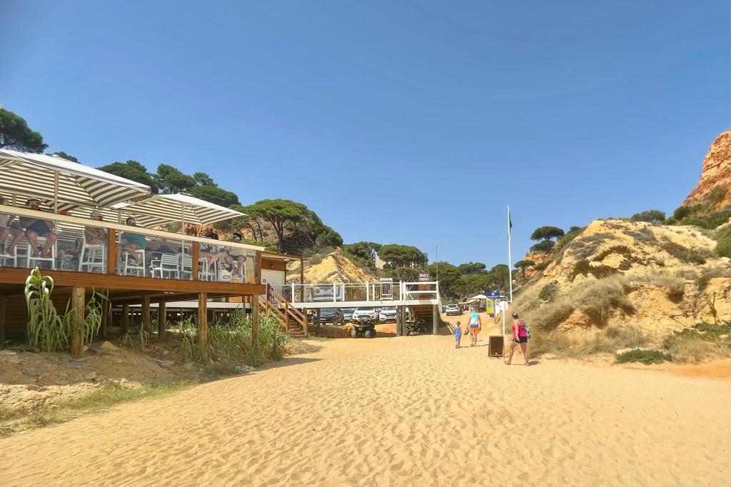 WhatsApp Image 2023-07-22 at 11.24.46