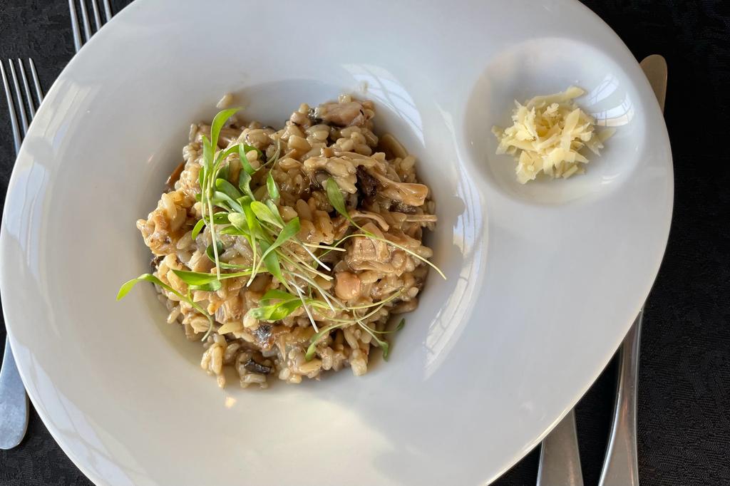 WhatsApp Image 2023-07-31 at 10.43.48(1)