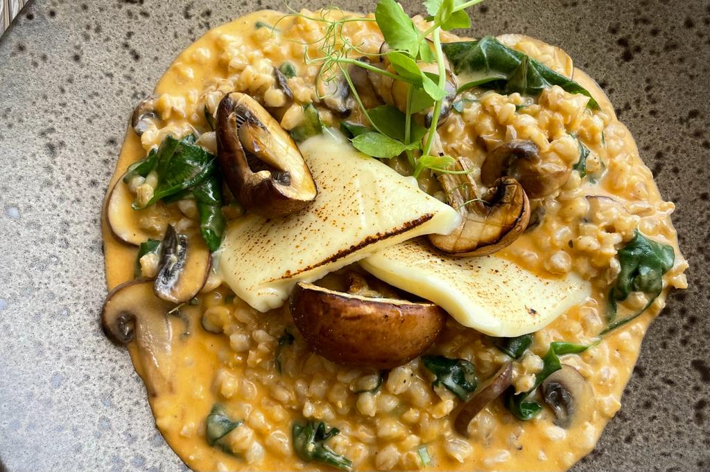 WhatsApp Image 2023-08-14 at 13.50.21