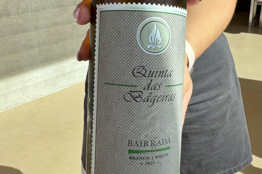 WhatsApp Image 2023-10-28 at 08.09.25