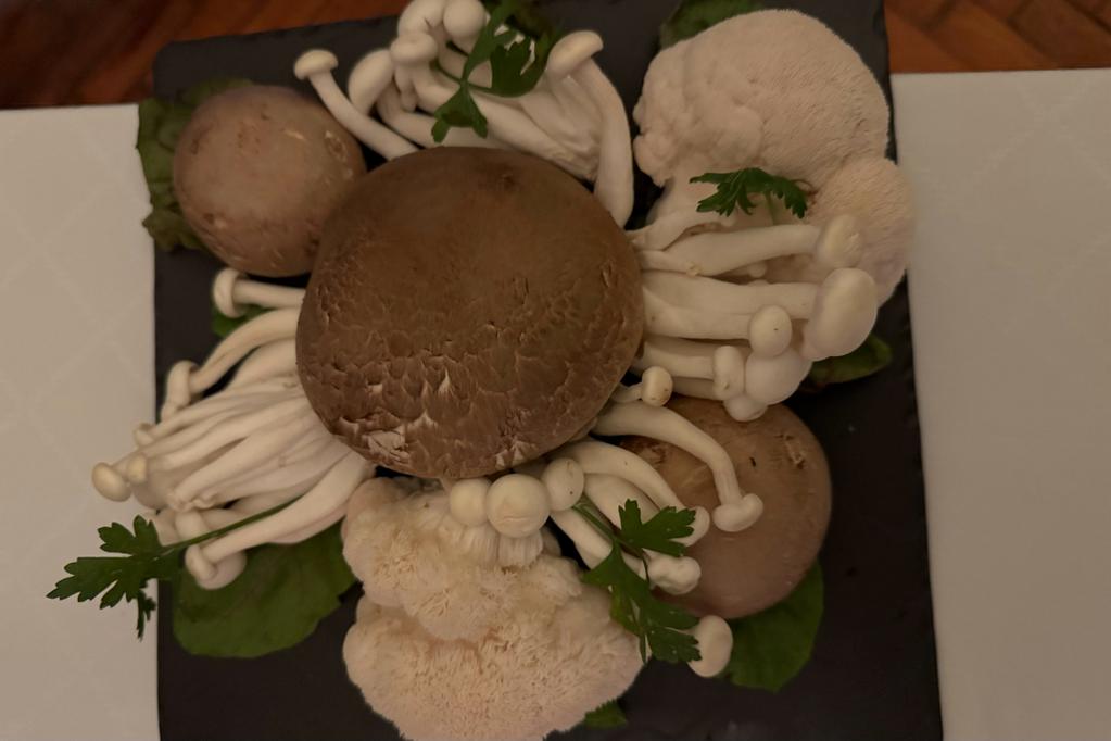 WhatsApp Image 2023-11-06 at 11.00.38(2)