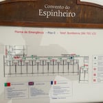 WhatsApp Image 2023-11-15 at 17.03.08