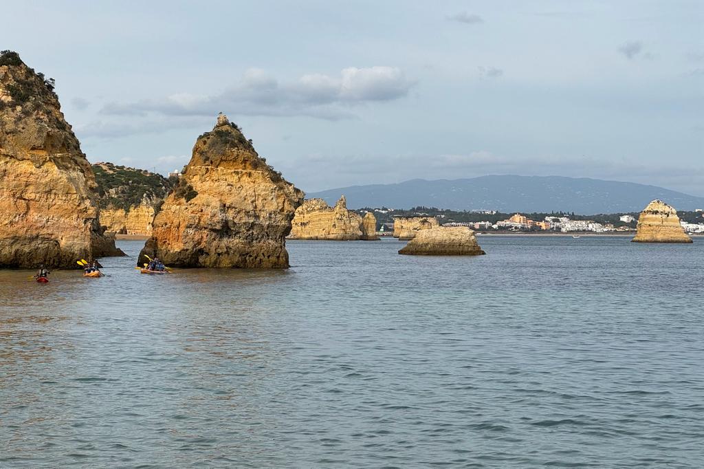 WhatsApp Image 2023-11-27 at 20.14.26