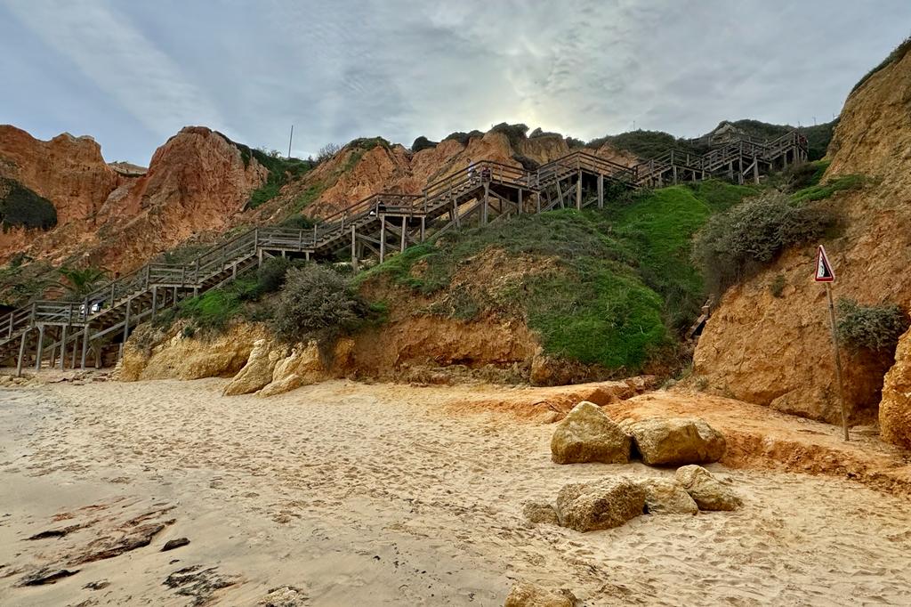 WhatsApp Image 2023-11-27 at 20.15.00