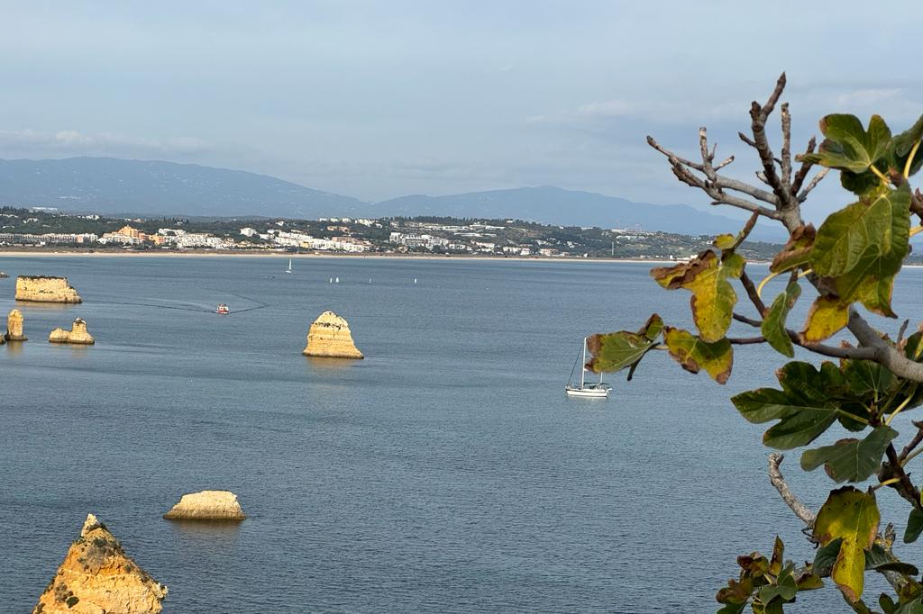 WhatsApp Image 2023-11-27 at 20.20.14