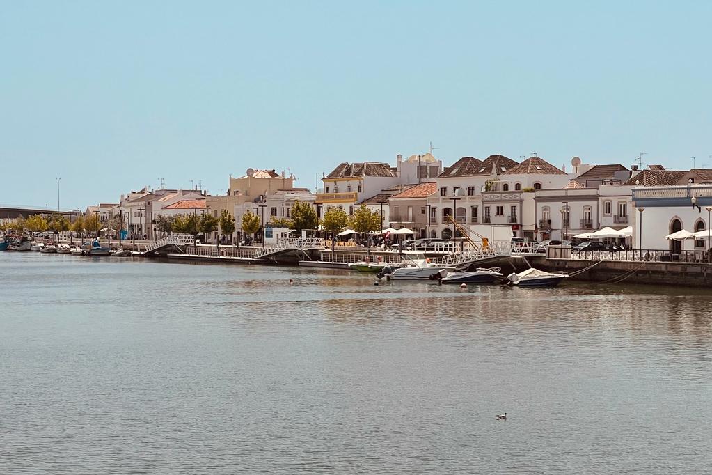 WhatsApp Image 2023-12-09 at 15.00.19(1)